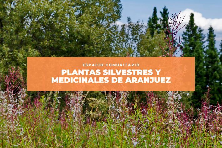 Fundación Juanjo Torrejón y «Enterraverde» organizan un espacio comunitario sobre plantas silvestres y medicinales de Aranjuez